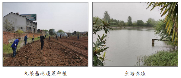 湖北精耕怎么样【项目建设年成果展12】精耕细作，匠心服务，筑牢后勤保障基石_https://www.jmylbn.com_新闻资讯_第8张